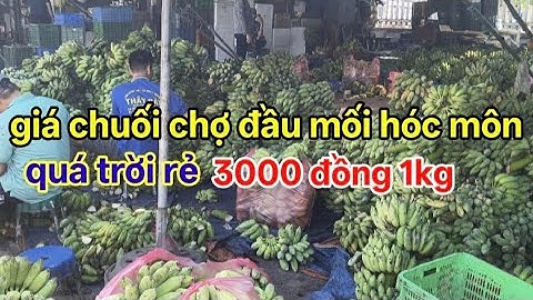 Cập nhật giá chuối chợ đầu mối hóc môn rẻ quá trời quá đất 25/11/2025