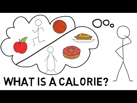 What Is a Calorie?