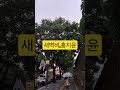 새벽비 원곡 혜은이 홍지윤 김다현 요요미 새벽비 원곡 혜은이 홍지윤 김다현 요요미