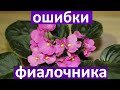 ✅  5 ГЛАВНЫХ ОШИБОК ИЗ-ЗА КОТОРЫХ  ПЛОХО РАСТУТ ФИАЛКИ! Как их не допустить?