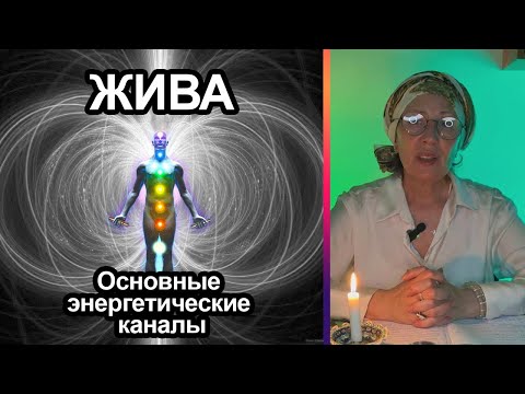 Жива. Основные энергетические каналы