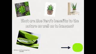 Unit of Inquiry: What are Aloe Vera’s benefits to the nature as well as to humans? #amíraourbabygirl