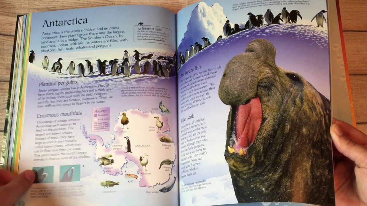 A Look Inside The Usborne World of Animals Book - YouTube