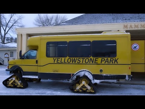 SNOWCOACH ADVENTURE IN YELLOWSTONE