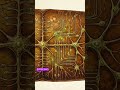 TACOS: Solves Spiking Neural Network Memory Issues! #shorts