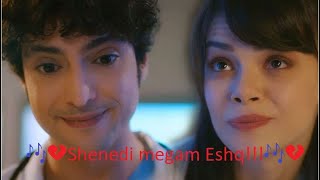 🎶🌷💔 Очень красивая иранская песня  ШЕНИДИ МЕГАМ ЭШК !  (Ali &Nazli clip) Доктор Ташриф🎶🌷💔