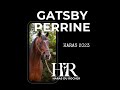 Haras du rocher  gatsby perrine