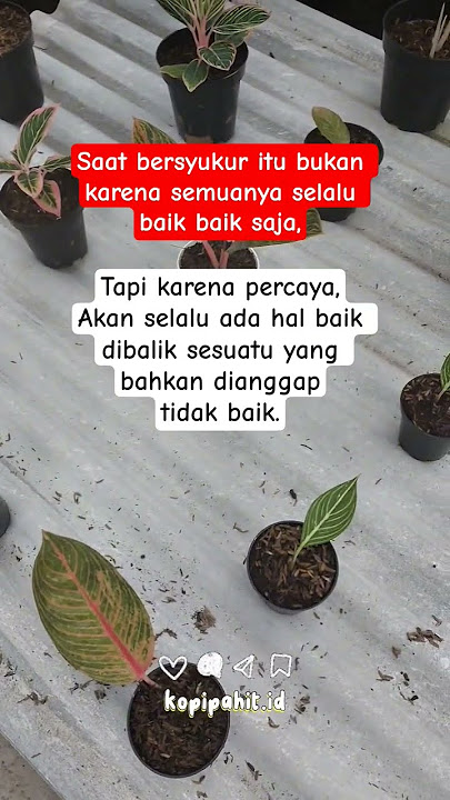 baik baik saja 👌‼️ #storywa #quotes #katakatabijak