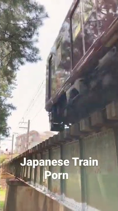 Japanese Train Porn