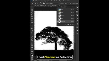 Powerful Technique to cut out trees in photoshop
