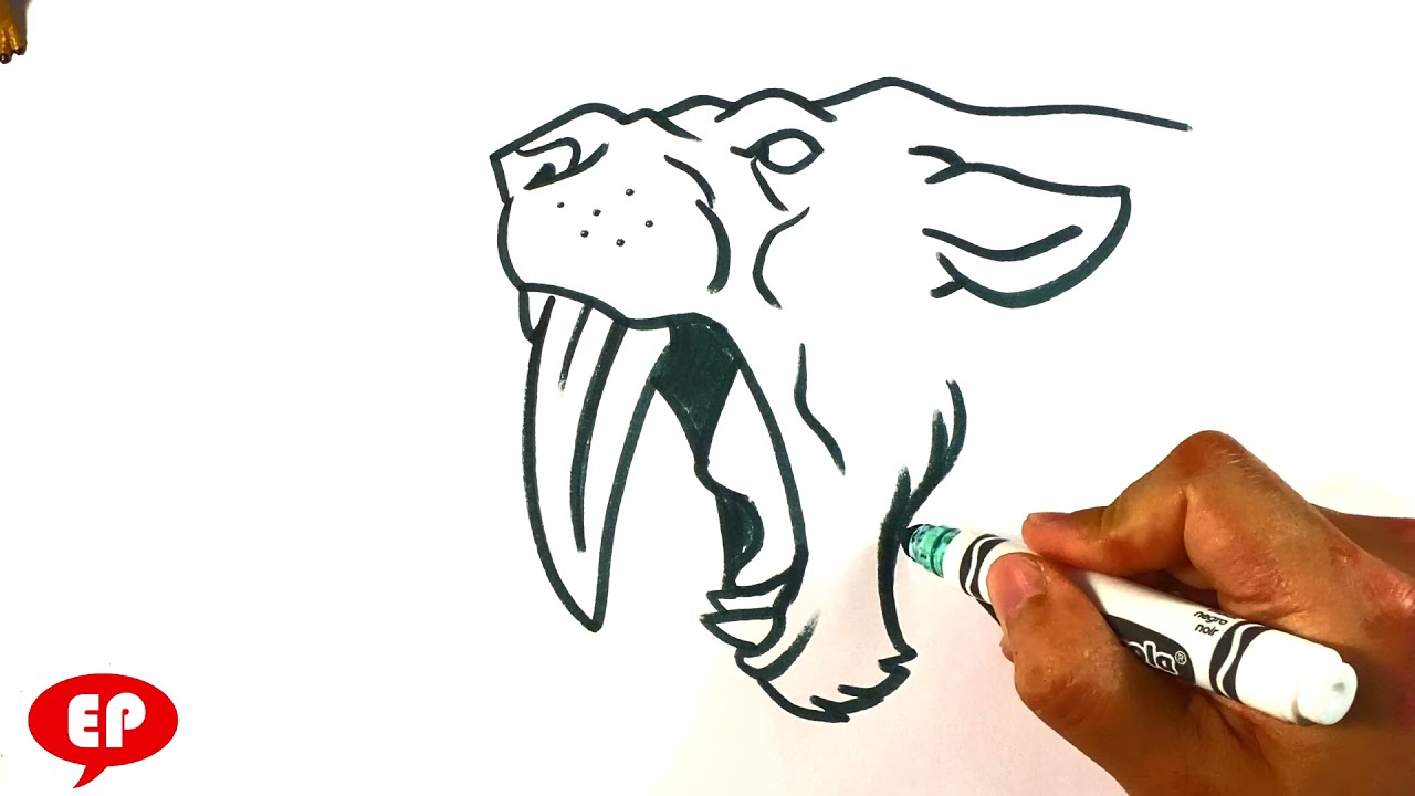 Saber tooth tiger drawing