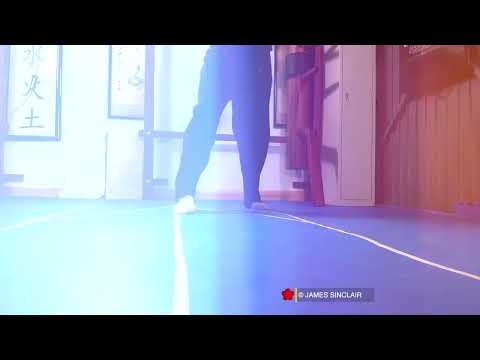 Basic Wing Chun Footwork with Floor Chart