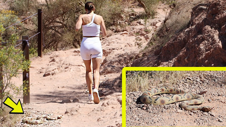 FAKE SNAKE PRANK!