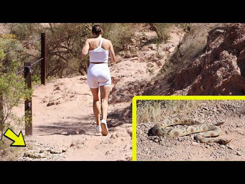 FAKE SNAKE PRANK!