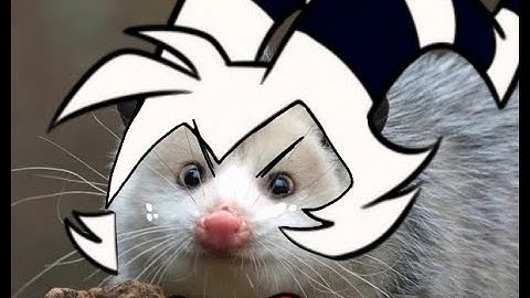 Stop saying I look like a possum (Helluva Boss)