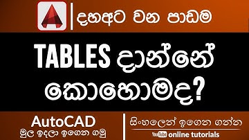 AutoCAD Beginner Course (Sinhala)- Part 18 - Adding Tables