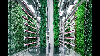 ZipPod - Container Farm Tour @ZipGrowInc