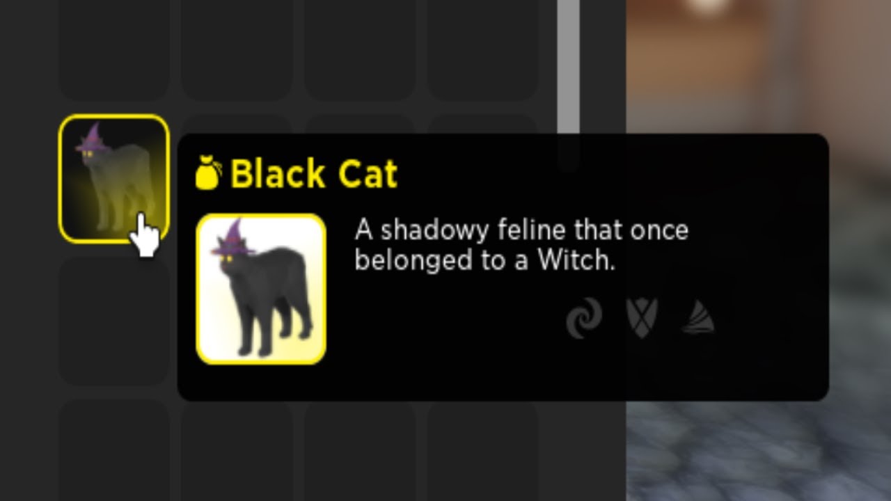 Buying a Black Cat Vesteria Shorts YouTube