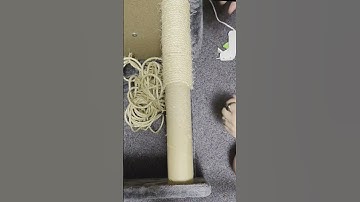 How to easily fix your cat tree scratch post