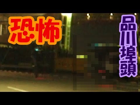 夏休みの品川埠頭に行ったら夜景どころじゃなかった