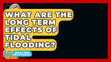 What Are The Long Term Effects Of Tidal Flooding? - Weather Watchdog