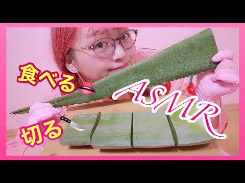 【音フェチ♡ASMR♡咀嚼音♡囁き】アロエベラを切って食べる音〜Eating   Sound/Aloe Vera/알로에/씹는 소리/못빤〜