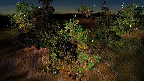 GeForce 2 Ti Grove Tech-Demo