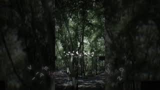 Tình Ta Hai Ngã Remix #remix