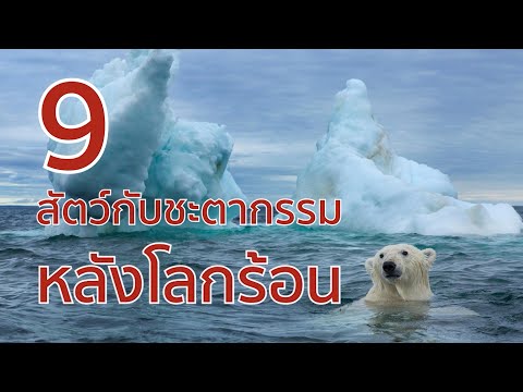 9 สัตว์กับชะตากรรมหลังโลกร้อน