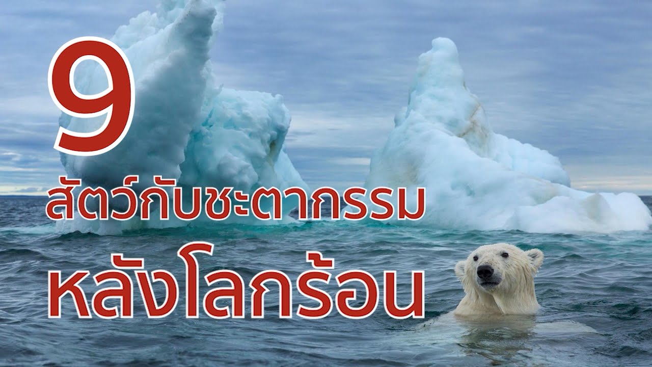 9 สัตว์กับชะตากรรมหลังโลกร้อน