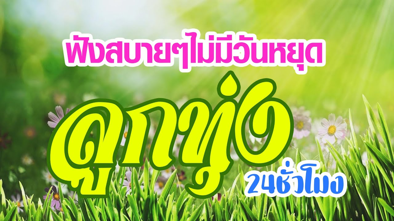 ลูกทุ่ง เพลงฟังสบายๆไม่มีวันหยุด  /  ลูกทุ่ง 24 ชั่วโมง