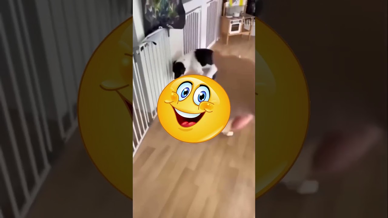 Топовые моменты из SCHOOLBOY RUNAWAY! 📸 