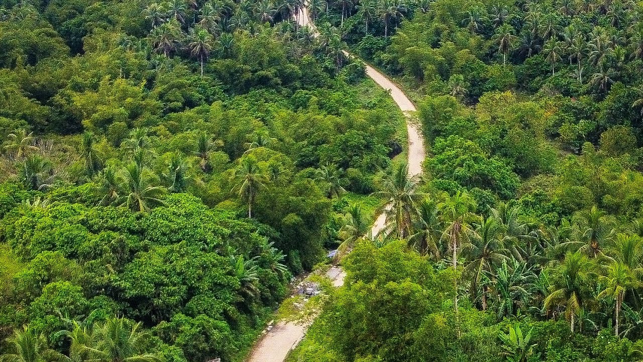 MoTour | Brgy. Dolongan-Balante-VillaAurora-Cancaiyas-Cogon, Basey Samar 2026😍