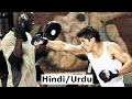 Never back down 2008 movie explained in hindi  never back down  rising from ashes summarized