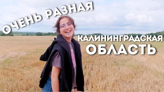 Правдинск, Дружба, Домново и Чехово / ep.10