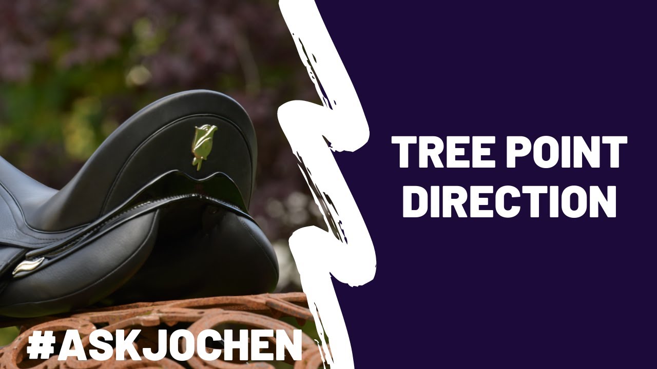 Tree Point Direction | #ASKJochen | Livestream Q&A Excerpt - YouTube