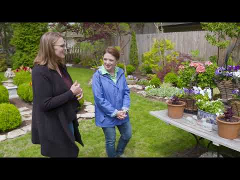 Vídeo: Informació del Garden Club - Què és un Neighborhood Garden Club