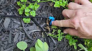Review: JIYANG Solar Automatic Drip Irrigation Kit System