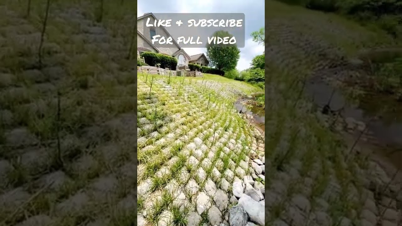 Creek bank erosion control 👍