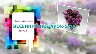 Выставка "Весенний подарок-2024" в Доме Фиалки, группа "Московские коллекционеры", часть 2