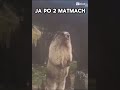 #fypシ