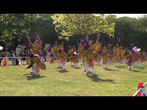 舞華さん あっぱれ富士2014・春 芝生会場