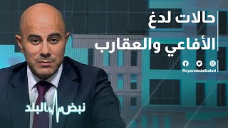 خبير افاعي وعقارب يتحدث عن أخطر انواعها وكيف يمكن تفادي خطرها