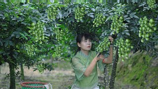 Eat for decades of Sichuan Pepper Oil, the original is squeezed out like this吃了幾十年的花椒油，原來是這樣做出來的