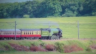 60163 Tornado Speeds South - The White Rose - 2015