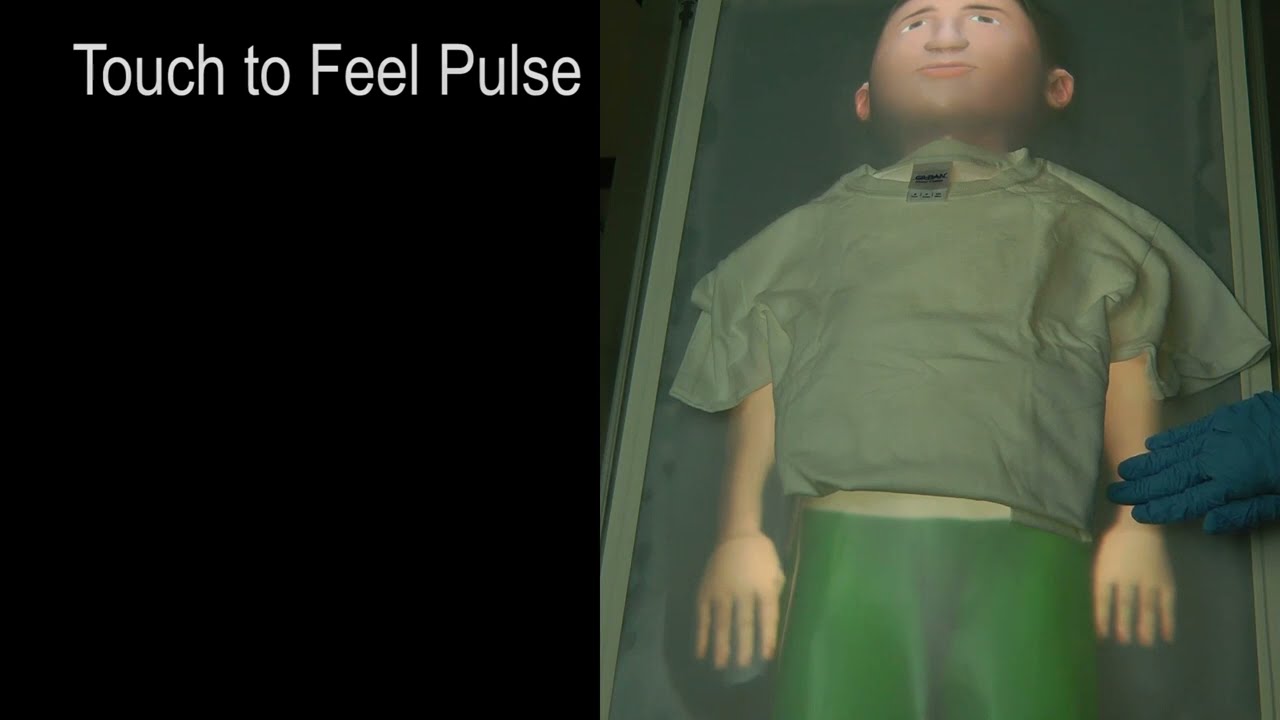 Physical Virtual Child: Healthy Patient Scenario