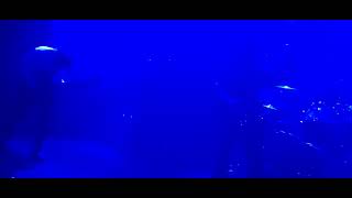 Spectral Voice live at Unearthed Morbidity festival, Copenhagen, 2023.