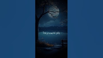 "لحظات من السكينة ✨ | تلاوة قرآن قصيرة تهدّي القلب ❤️"