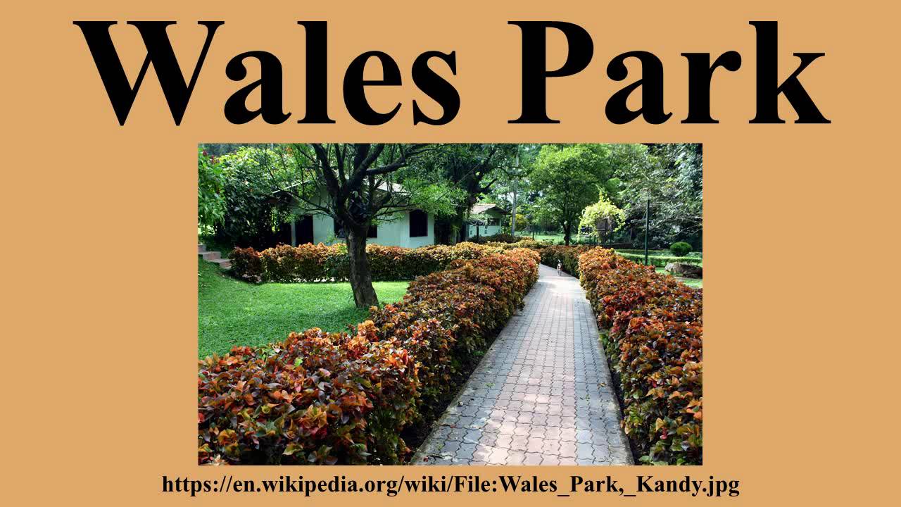 Wales Park