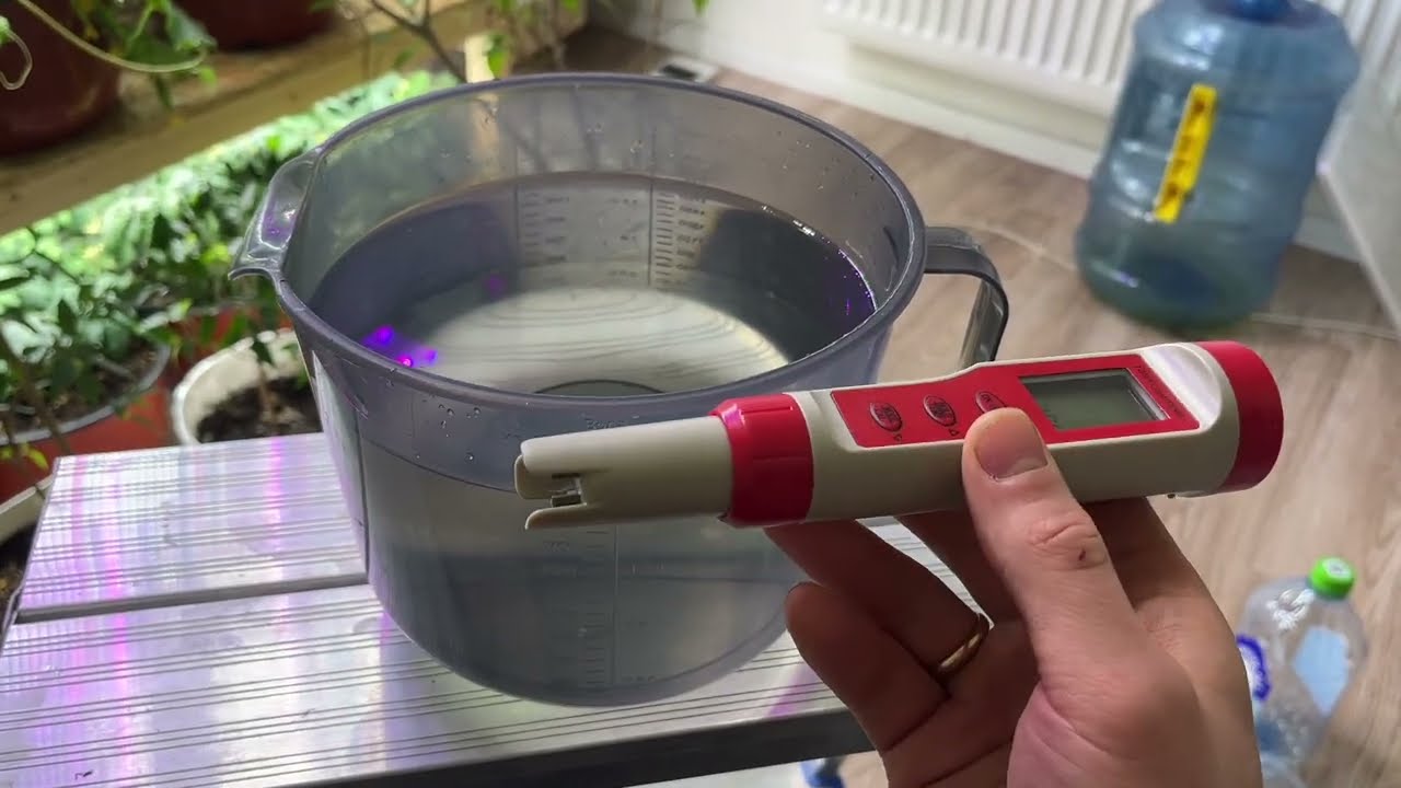 Профессиональное и Дешевое ПИТАНИЕ РАСТЕНИЙ на ПЛОДОНОШЕНИЕ И ВЕГЕТАЦИЮ [Гортензии, Томаты, Огурцы]